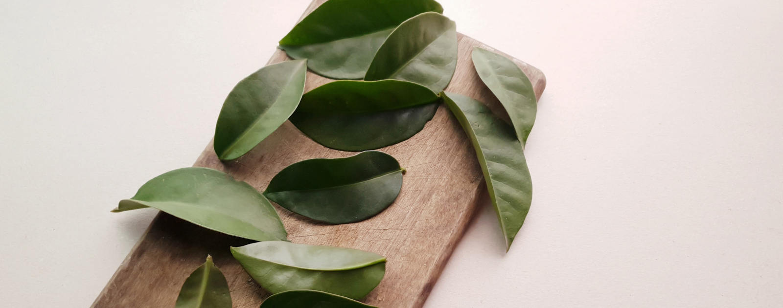 folhas de ora-pro-nóbis espalhadas numa tábua