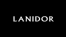 logo parceiro: lanidor kids