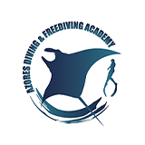 logo: best-spot-azores-dive-center