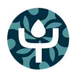 logo: deeplyzen-day-spa