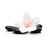 logo: dra-helga-mota