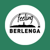 logo: feeling-berlenga