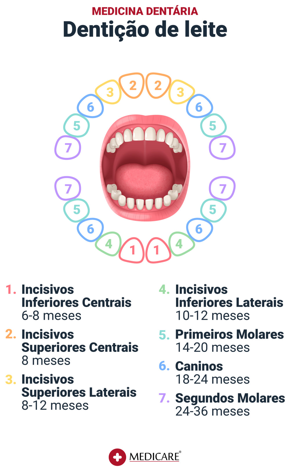 Dentição de Leite ou dentes decíduos