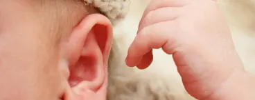 pormenor da orelha de um bebé