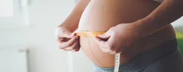 calculadora tamanho bebe
