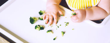 bebé a explorar brócolos com as mãos