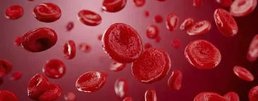 imagem representativa de plaquetas de sangue