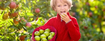 menino a comer uma maçã