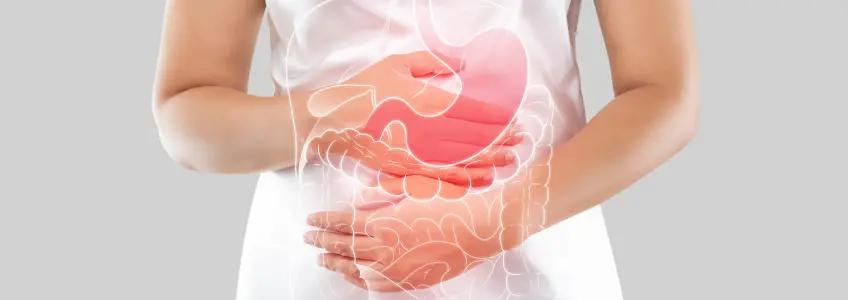 imagem representativa do sistema digestivo