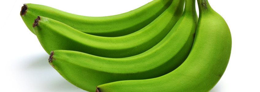 cacho de bananas verdes