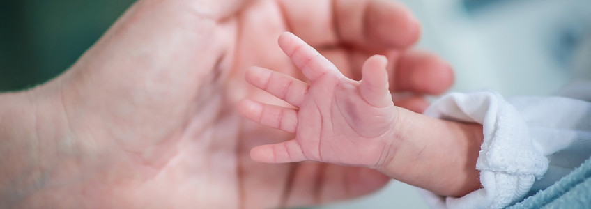 mão de adulto e mão de bebé recém nascido