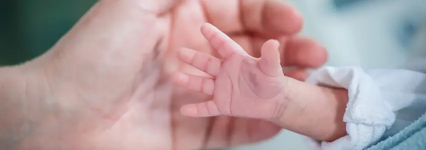 mão de adulto e mão de bebé recém nascido