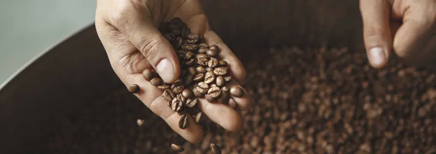 pessoa com grãos de café na mão