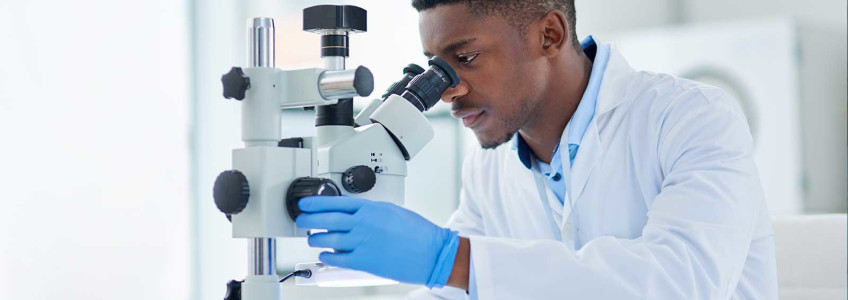 médico a analisar resultados de citologia no microscópio