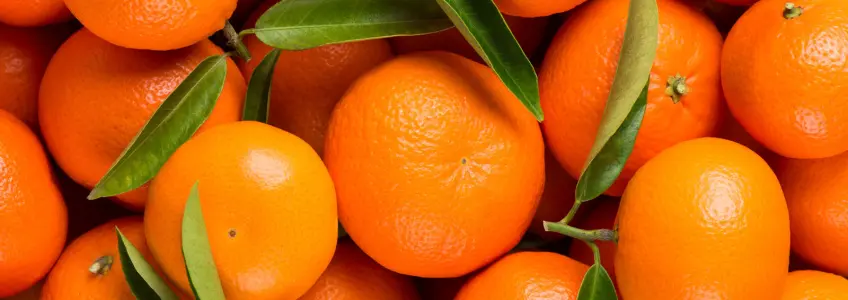 várias laranjas