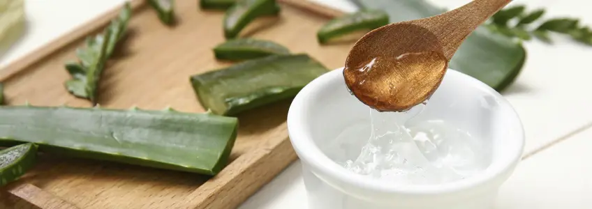 creme orgânico feito com aloe vera