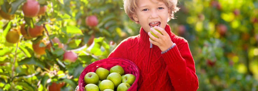 menino a comer uma maçã