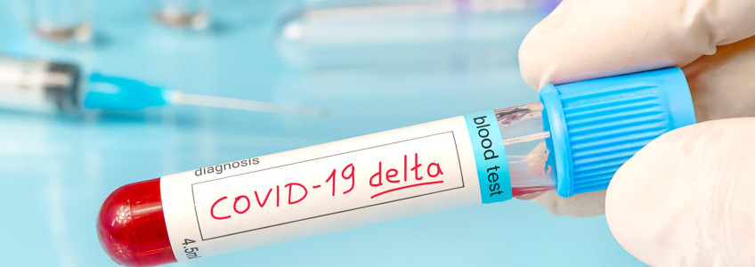 análise ao sangue para deteção de variante Delta